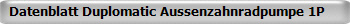 Datenblatt Duplomatic Aussenzahnradpumpe 1P